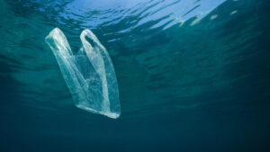 Plastic bag pollution in water