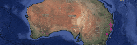Map of Tree Cover Loss Australia 2019