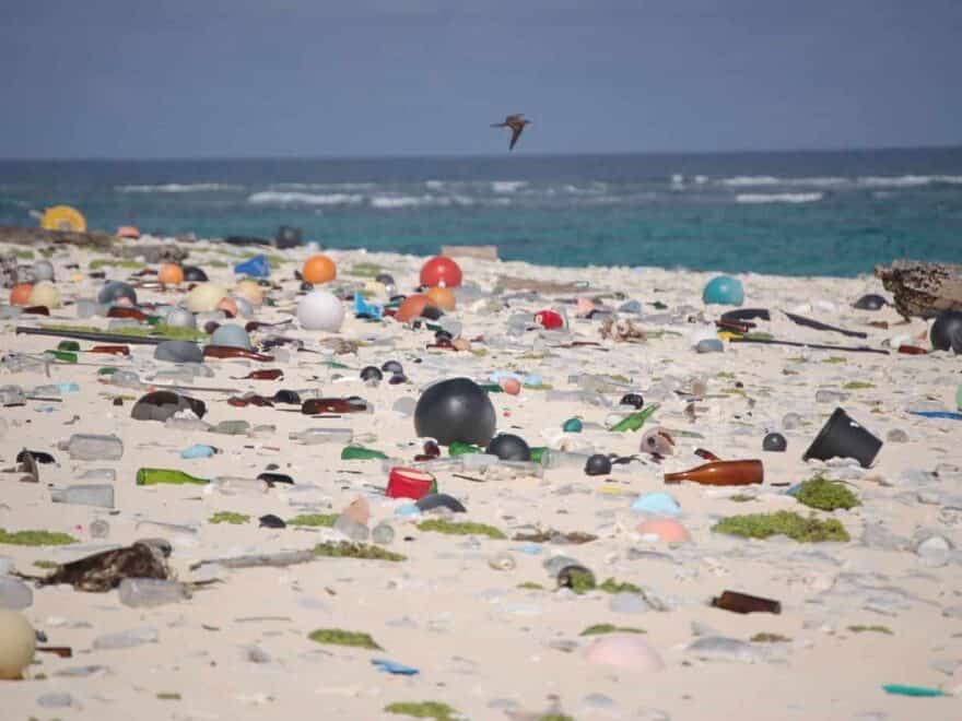 Marine debris that was washed ashore covers a beach on Laysan Island in the Hawaiian Islands National Wildlife Refuge. (Susan White/USFWS)