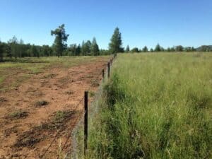 Two fields separated by a fence: one a barren brown dustbowl; the other green and fertile thanks, to regenerative agriculture (photo courtesy of the Savory Institute).