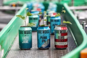 BrewDog cans with branches out of tops, sat on conveyor belt