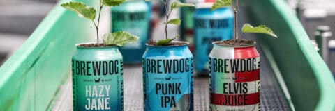 BrewDog cans with branches out of tops, sat on conveyor belt