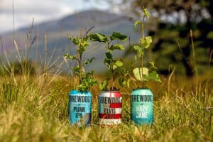 BrewDog cans in field on forest site