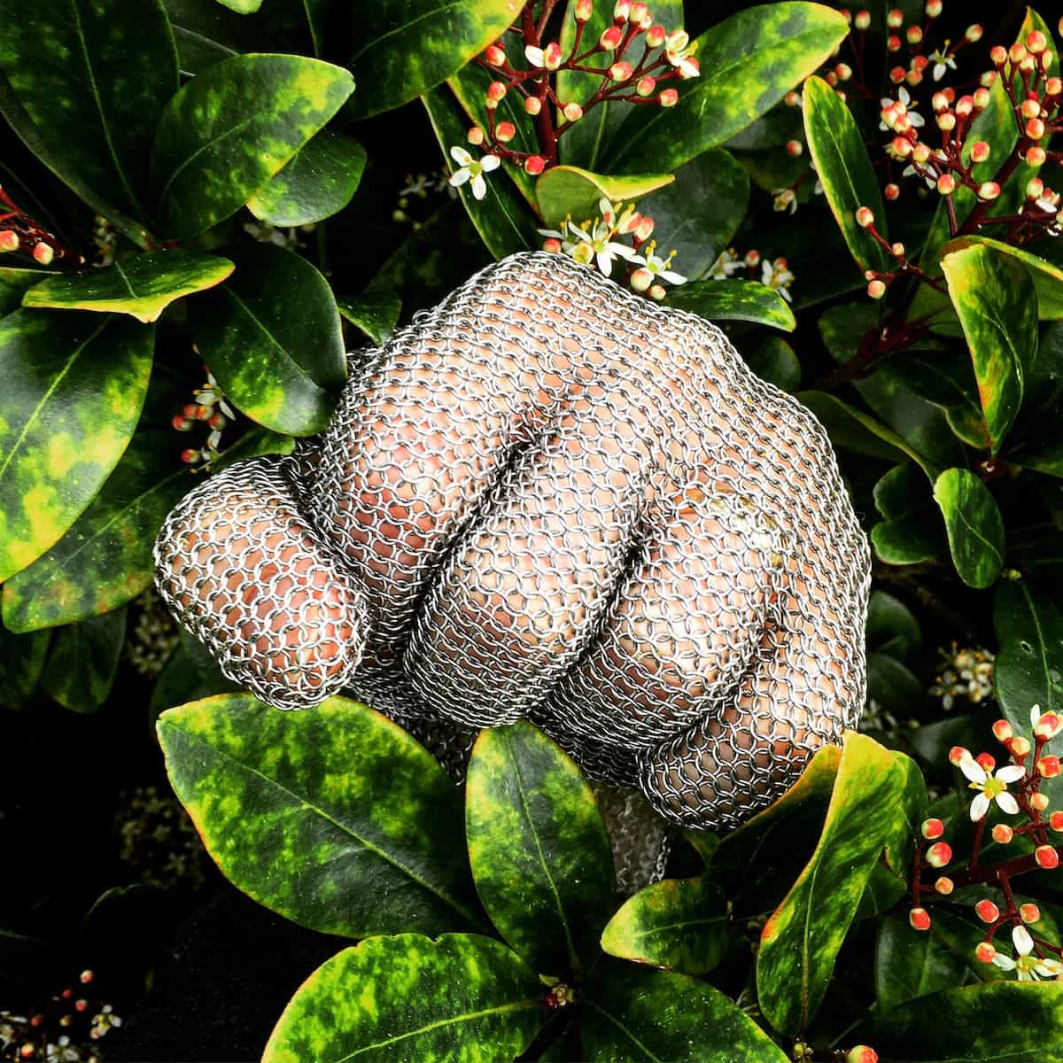 Human fist clad in steel mesh glove punching through green leaves and flowers.