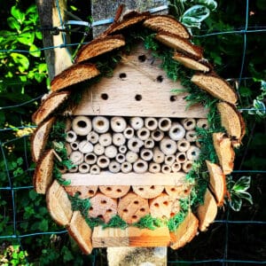 Close-up of wooden bee hotel.