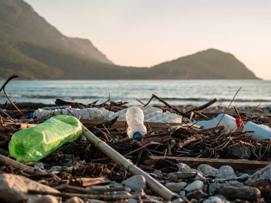 Plastic bottles and other debris pictured on shoreline by water's edge.