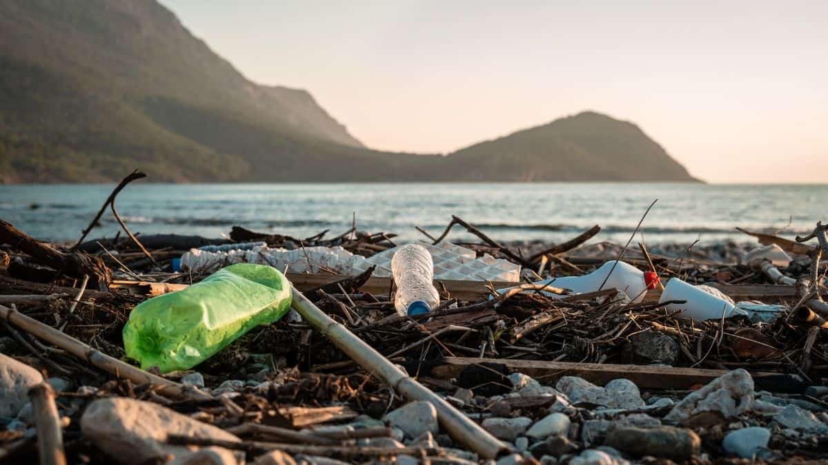 Plastic bottles and other debris pictured on shoreline by water's edge.