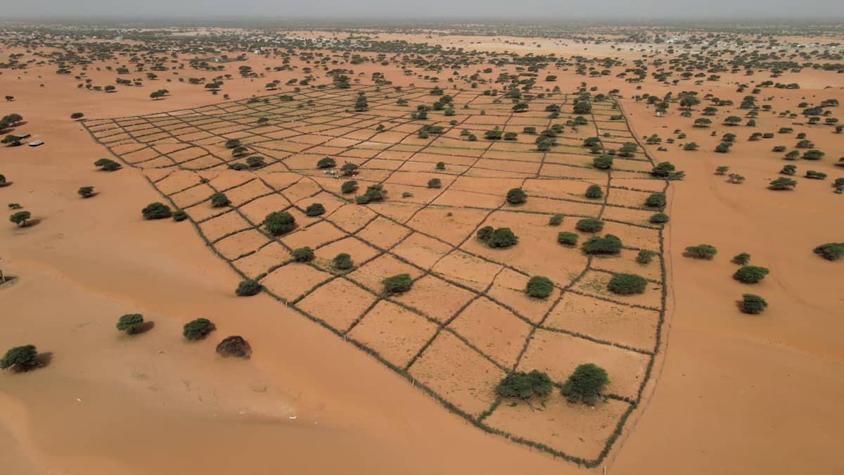 Aerial view of desert land undergoing restoration, with patchwork grid of green against red-brown sand.