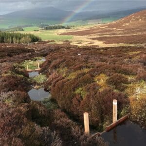 Photo of Scottish landscape showing small dams installed in upper parts of hills from which The Glenlivet distillery (just out of sight, behind the trees to the left of where a rainbow ends in top of shot) takes its water. Image credit: Martyn Roberts