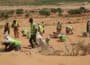 Workers wearing high-vis jackets crouching and kneeling to plant green trees and bushes on on arid, sandy desert ground.