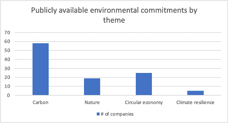 Bar chart showing publicly available environmental commitments by theme: Carbon (most common); Nature; Circular Economy; and Climate Resilience.