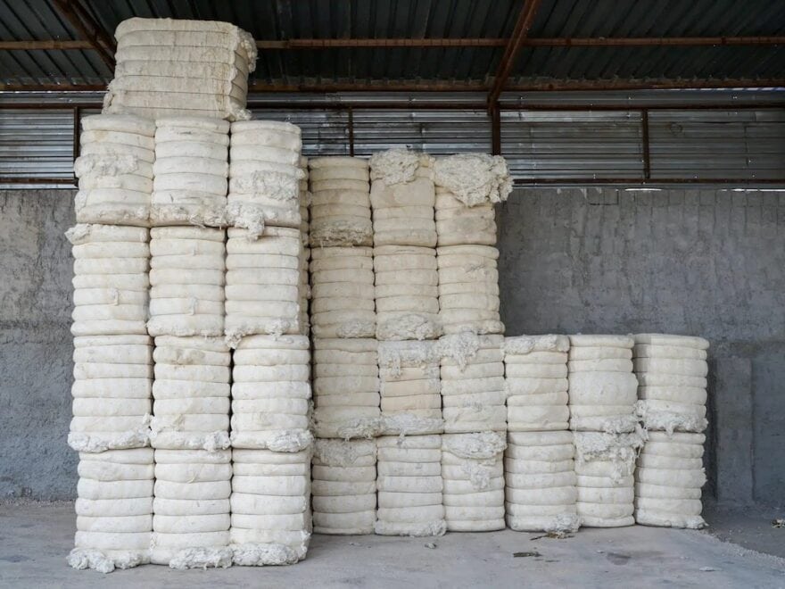 Bales of whiteish cotton stacked in a farm building, or shed.