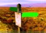 Wooden country signpost with bright and dark green indicators pointing roughly left and right, stood in middle of moorland, with colours saturated.