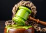 Judge's gavel covered in green paint, with mini rope wig over the hammer, in image created using Gencraft: Artificial Intelligence (AI) art generator.