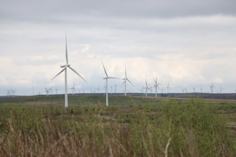 Established wind farm in open fields and moorland, on a grey day with clouds overhead.