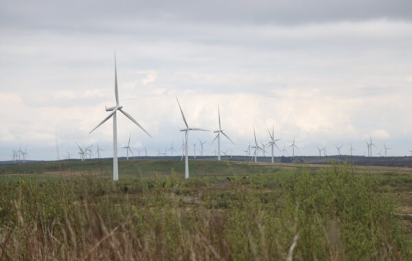 Established wind farm in open fields and moorland, on a grey day with clouds overhead.