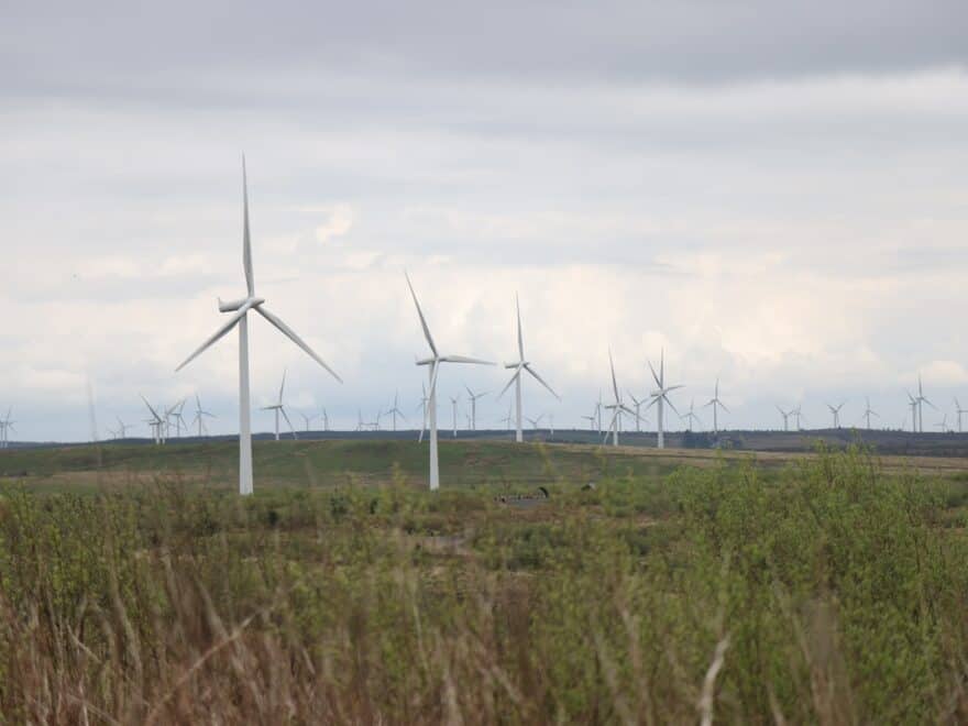 Established wind farm in open fields and moorland, on a grey day with clouds overhead.