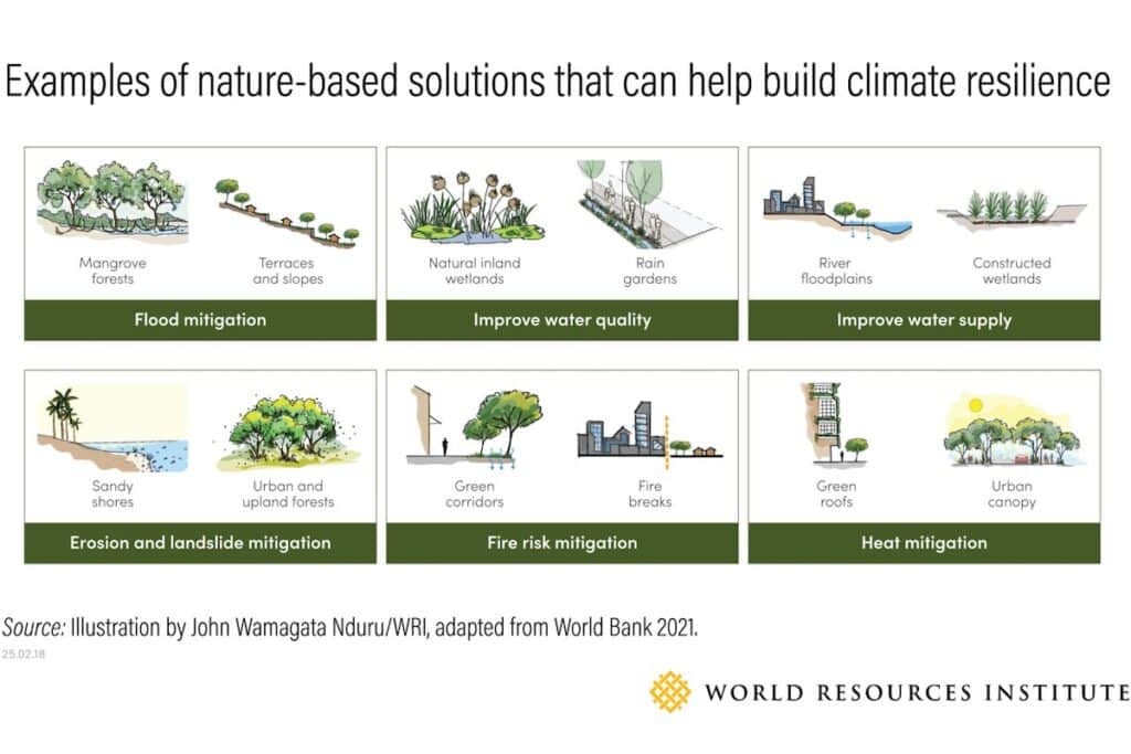 Graphic shows examples of nature-based solutions categorised under 6 broad headings for climate resilience activity.