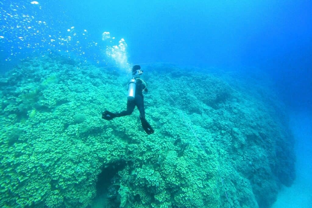 Illuminated underwater shot of coral on seabed, with diver in centre.