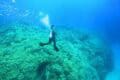 Illuminated underwater shot of coral on seabed, with diver in centre.