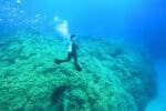 Illuminated underwater shot of coral on seabed, with diver in centre.