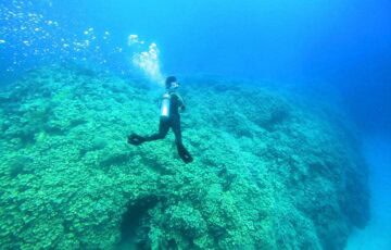 Illuminated underwater shot of coral on seabed, with diver in centre.
