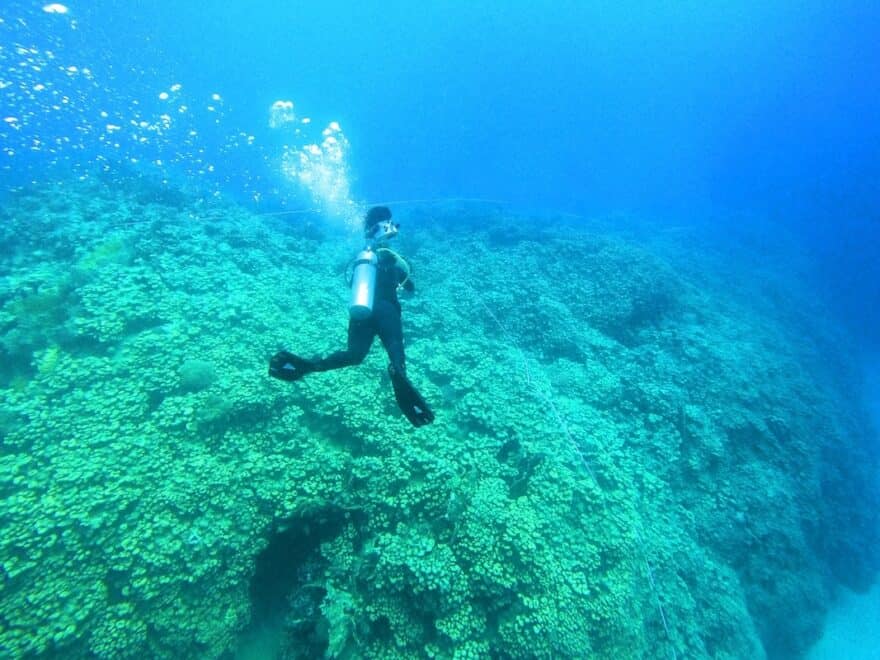 Illuminated underwater shot of coral on seabed, with diver in centre.