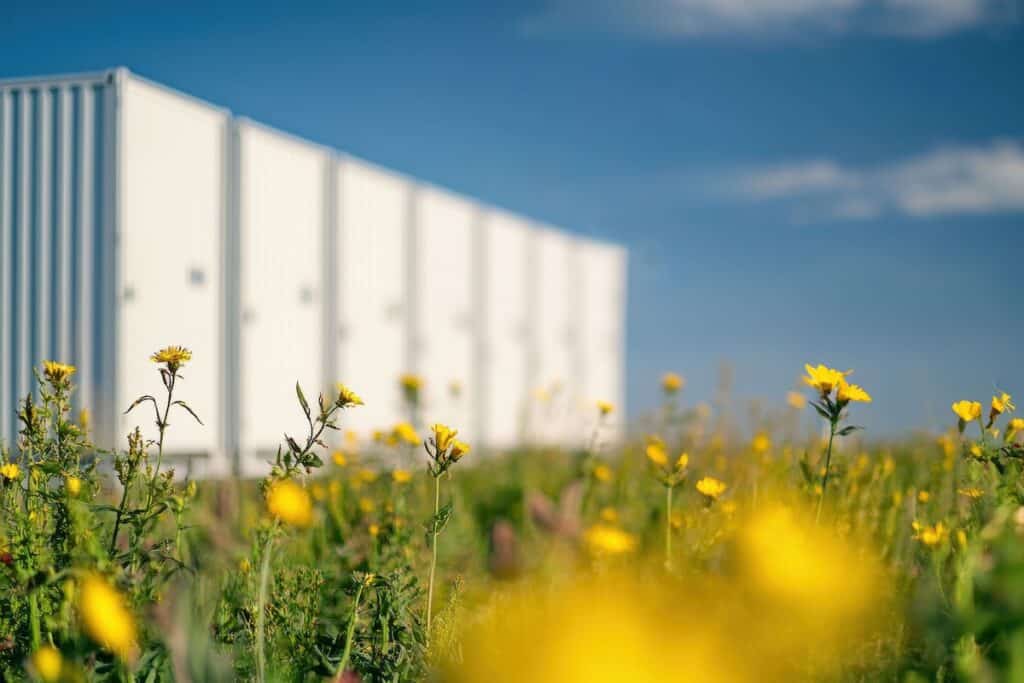Image shows yellow wildflowers in foreground, with out-of-focus white energy storage unit and blue sky behind.