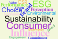 Wordcloud on white background created using tags from accompanying news story about sustainability influence and consumer choice.