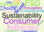 Wordcloud on white background created using tags from accompanying news story about sustainability influence and consumer choice.