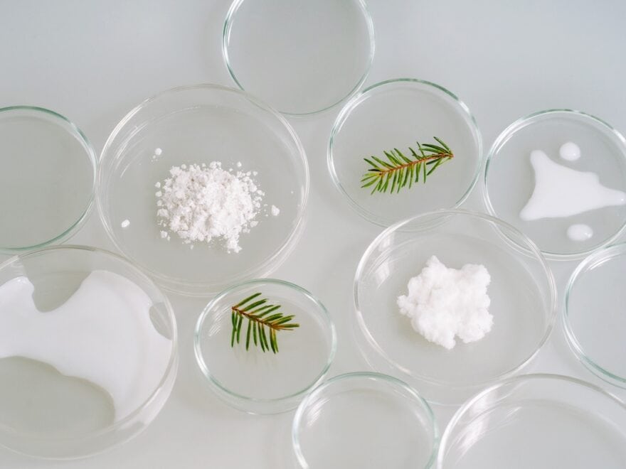 Multiple clear Petri dishes in lab setting on off-white surface, some containing bright white powder or liquid, others green pine-like leaves.