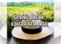 Image of Panama hat on rustic table, with sunny green fields to horizon in background, plus "Spring Break: editor at Large" overwritten in white.