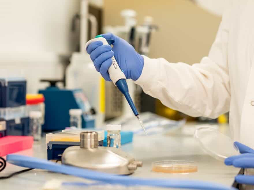 Close-up of person in white coat and blue surgical gloves using dropper to apply sample to Petri dish in laboratory setting.
