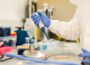 Close-up of person in white coat and blue surgical gloves using dropper to apply sample to Petri dish in laboratory setting.