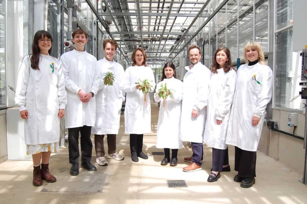 Group portrait of team of 8 in white lab coats, with three towards middle holding bunches of dandelion leaves, in modern glass and steel building.