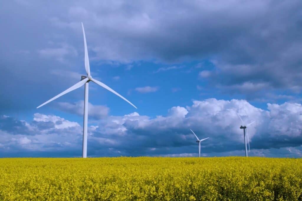 Wind turbines against cloudy blue sky, with rapeseed field in foreground.
