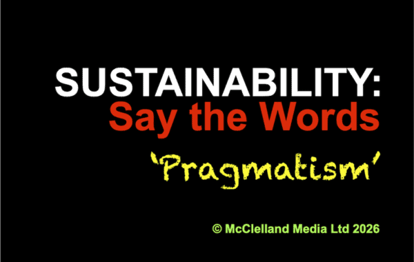 SUSTAINABILITY (in white): Say the Words (red) on black, 'Pragmatism' chalked below (yellow); © McClelland Media Ltd 2026 at base (in green).