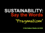 SUSTAINABILITY (in white): Say the Words (red) on black, 'Pragmatism' chalked below (yellow); © McClelland Media Ltd 2026 at base (in green).