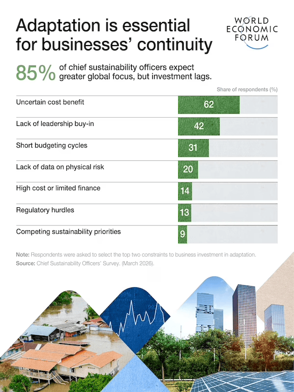 Horizontal bar chart showing why 'Adaptation is essential for businesses' continuity, with 85% CSOs expecting greater focus but investment lag.