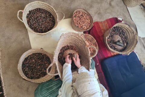Overhead view of woman in white, working while seated on rug, head covered, with multiple baskets of variously processed brown argan tree kernels in front of her and hands in one.
