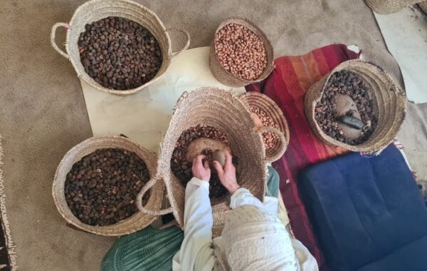 Overhead view of woman in white, working while seated on rug, head covered, with multiple baskets of variously processed brown argan tree kernels in front of her and hands in one.
