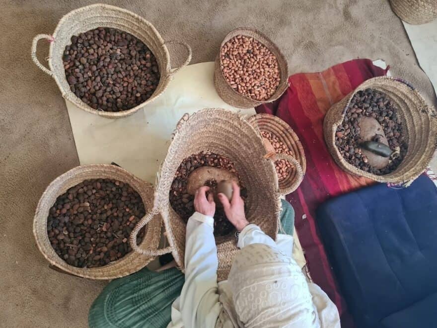 Overhead view of woman in white, working while seated on rug, head covered, with multiple baskets of variously processed brown argan tree kernels in front of her and hands in one.
