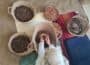 Overhead view of woman in white, working while seated on rug, head covered, with multiple baskets of variously processed brown argan tree kernels in front of her and hands in one.